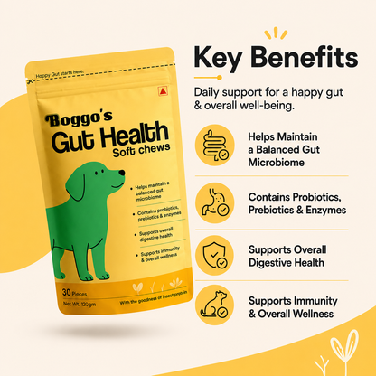 Boggo's Gut Health Soft Chews - 30 Pieces