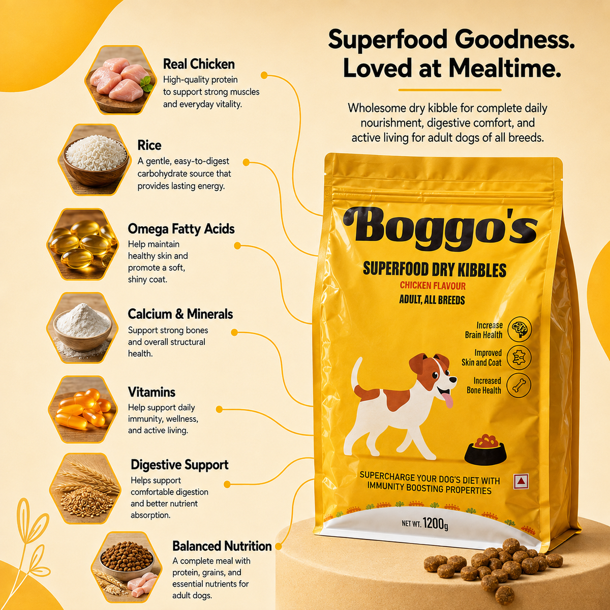 Complete Dog Food | 1.2 kg | Chicken & Rice with BSFL |  Delicious Taste, Vet-Formulated Nutrition!