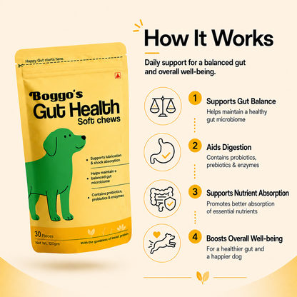 Boggo's Gut Health Soft Chews - 30 Pieces