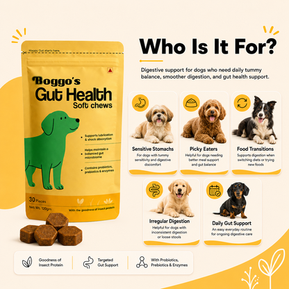 Boggo's Gut Health Soft Chews - 30 Pieces