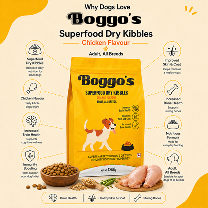 Complete Dog Food | 1.2 kg | Chicken & Rice with BSFL |  Delicious Taste, Vet-Formulated Nutrition!