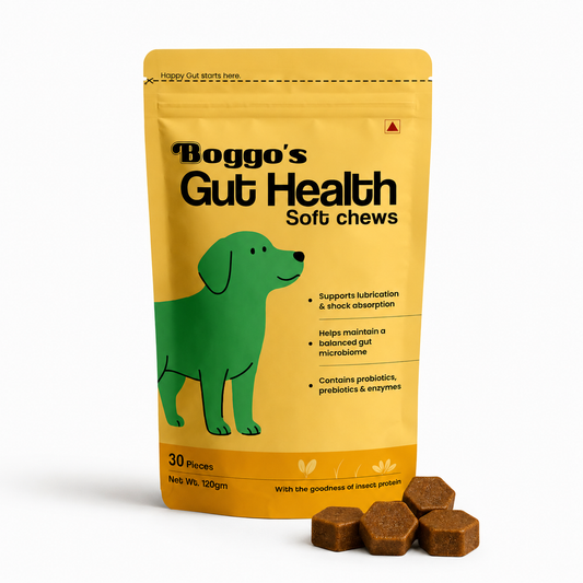 Boggo's Gut Health Soft Chews - 30 Pieces