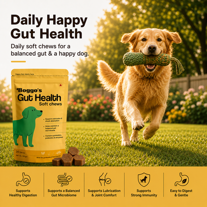 Boggo's Gut Health Soft Chews - 30 Pieces
