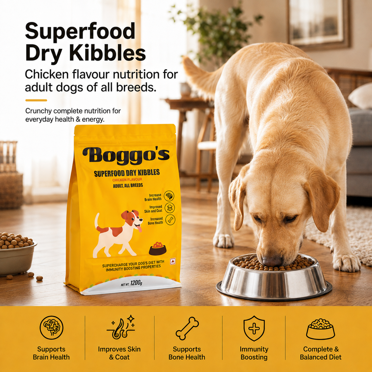 Complete Dog Food | 1.2 kg | Chicken & Rice with BSFL |  Delicious Taste, Vet-Formulated Nutrition!
