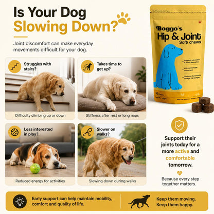 Boggo's Hip and Joint Soft Chews - 30 Pieces