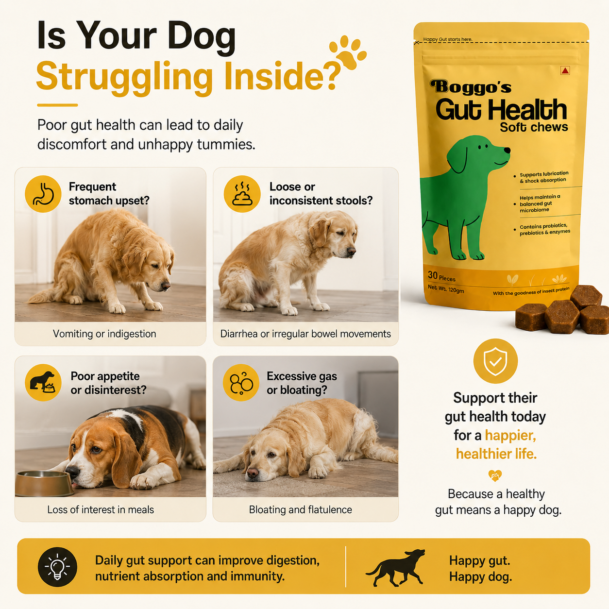 Boggo's Gut Health Soft Chews - 30 Pieces