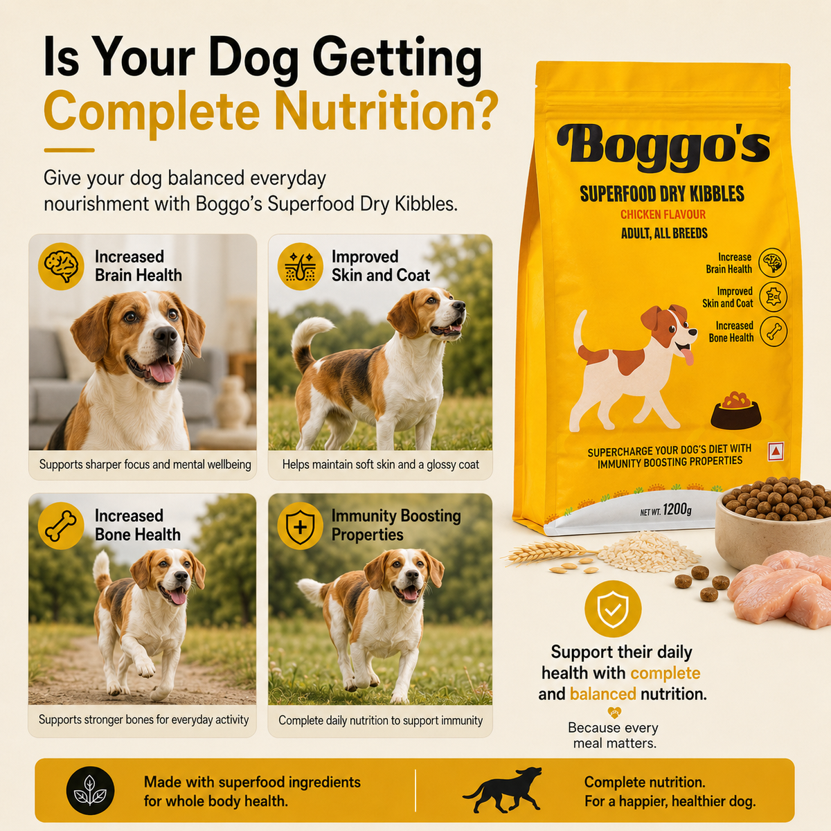 Complete Dog Food | 1.2 kg | Chicken & Rice with BSFL |  Delicious Taste, Vet-Formulated Nutrition!