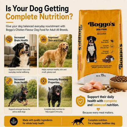 Complete Dog Food | 15kg | Chicken & Rice + BSFL | Delicious Taste, Vet-Formulated Nutrition!