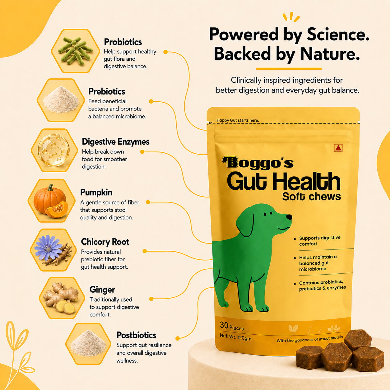 Boggo's Gut Health Soft Chews - 30 Pieces