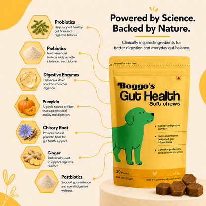 Boggo's Gut Health Soft Chews - 30 Pieces