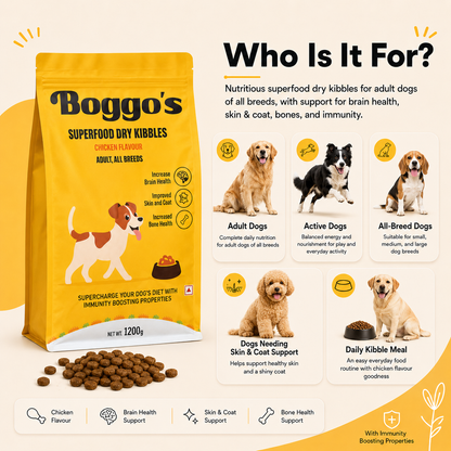 Complete Dog Food | 1.2 kg | Chicken & Rice with BSFL |  Delicious Taste, Vet-Formulated Nutrition!