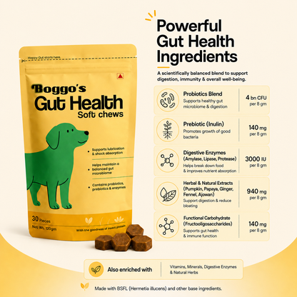 Boggo's Gut Health Soft Chews - 30 Pieces