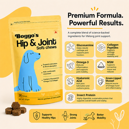 Boggo's Hip and Joint Soft Chews - 30 Pieces