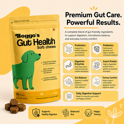 Boggo's Gut Health Soft Chews - 30 Pieces