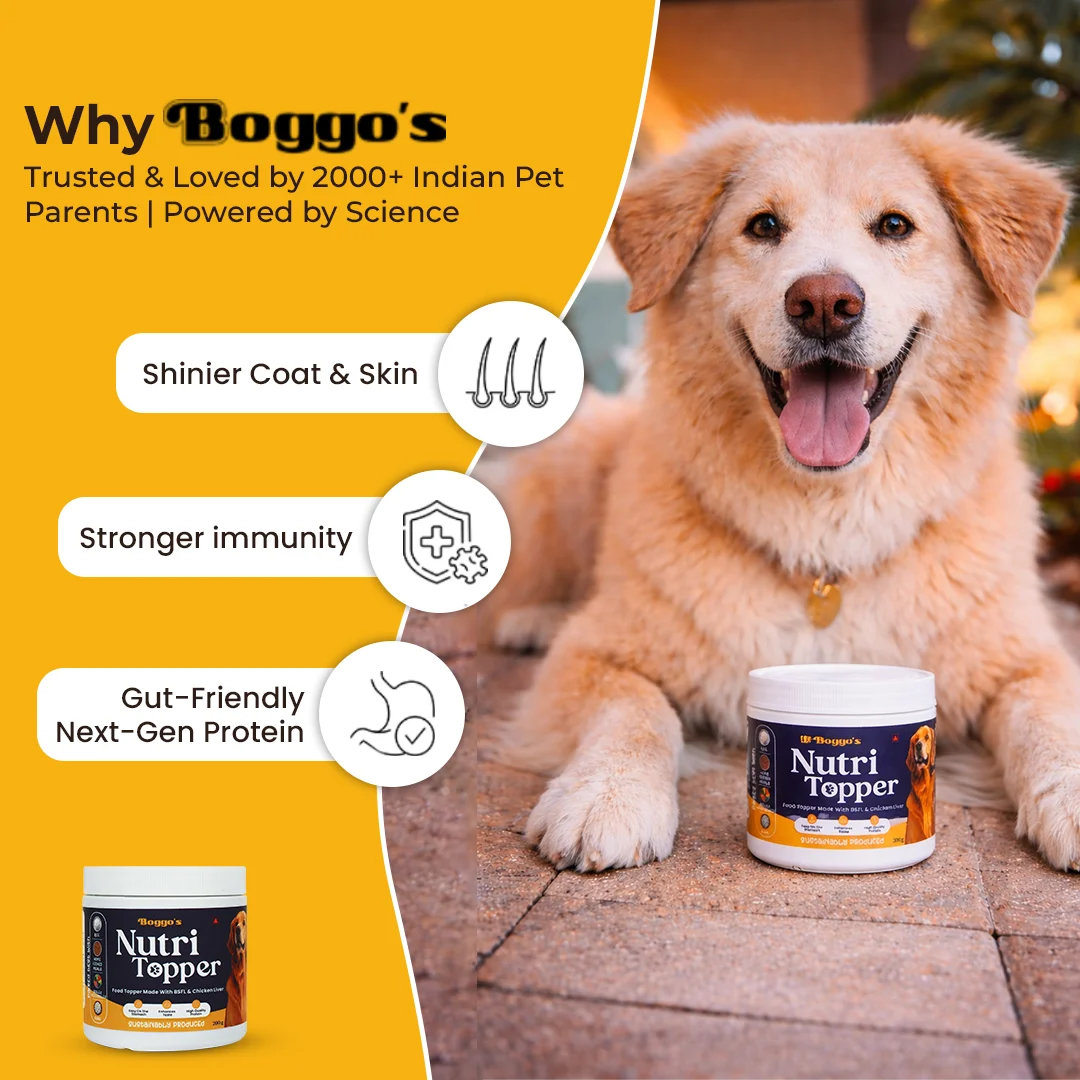 Nutri Topper Taste Plus | Dog Food Topper BSFL and Chicken Liver, 200g