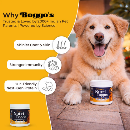 Nutri Topper Taste Plus | Dog Food Topper BSFL and Chicken Liver, 200g